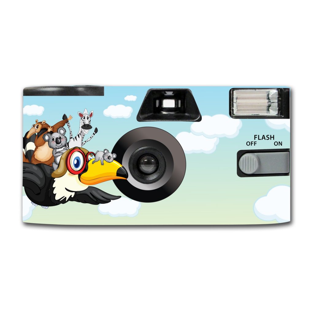 Disposable Camera Company