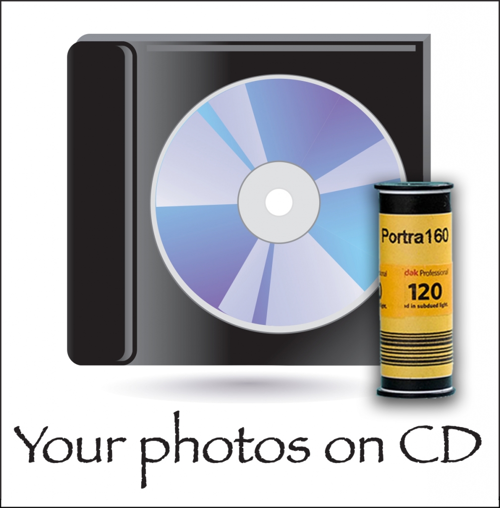 Disposable Camera Company