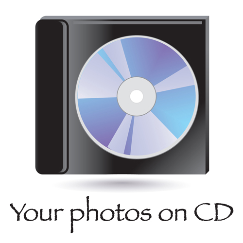 Disposable Camera Company