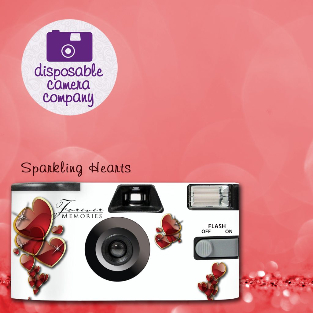 Disposable Camera Company
